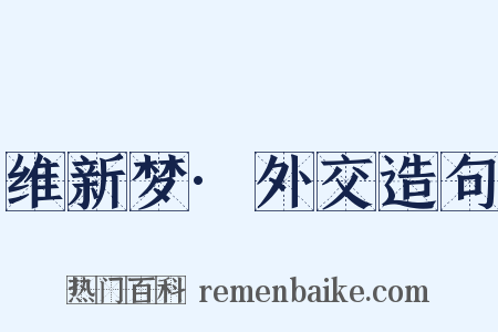 维新梦·外交造句是什么意思的图片
